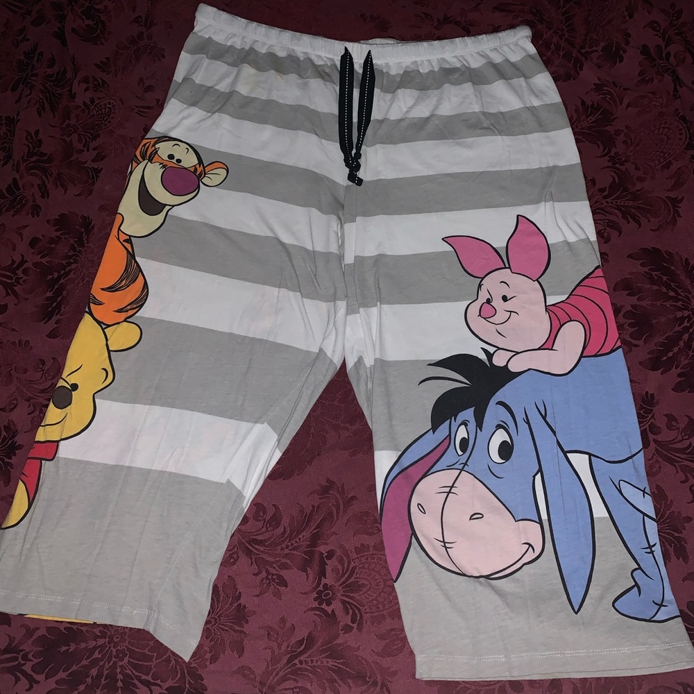 2X Disney Winnie the Pooh pajama pants
